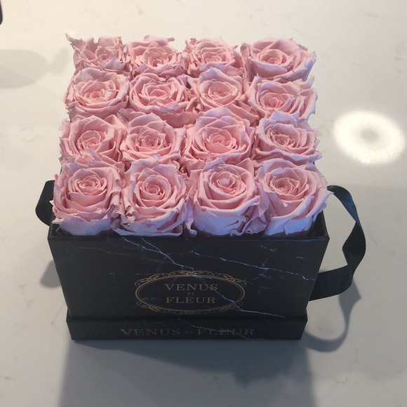 Venus Et Fleur - Picture 3 of 3